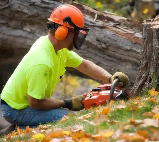 tree services Hindman